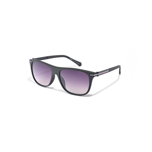 Calida - Navy