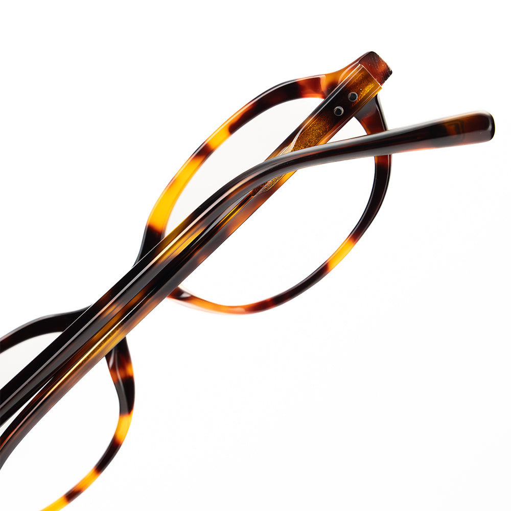 Tortoise shell eyeglasses frame